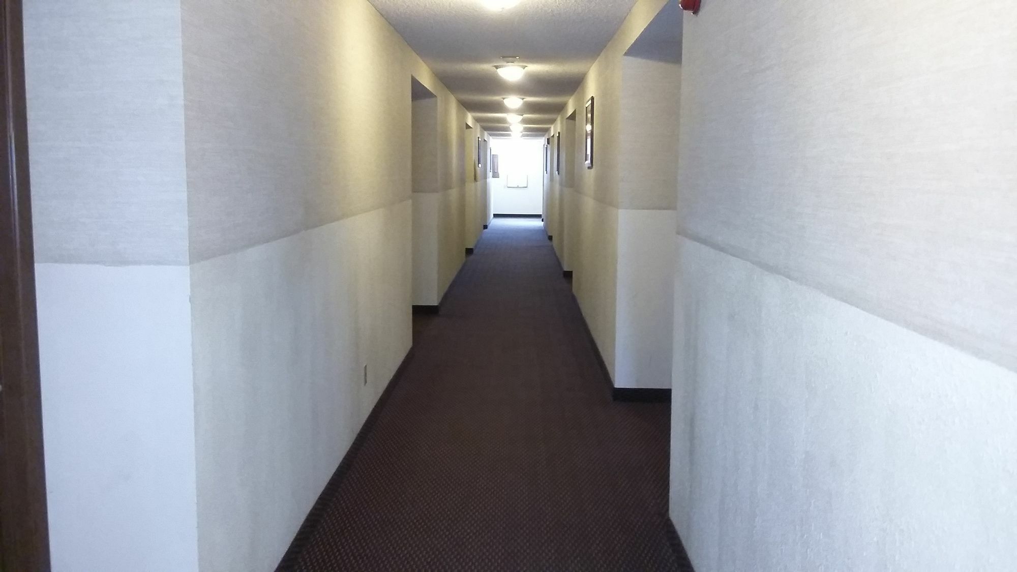 Loyalty Inn パスコ エクステリア 写真